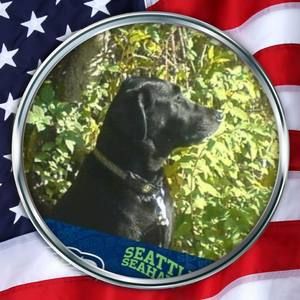 Meet your Posher, Troy